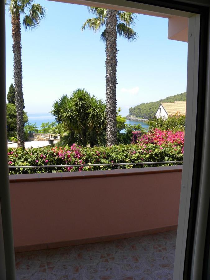 Comfortable Apartment In Maratea With Sea View 95 M² + Parking Ngoại thất bức ảnh